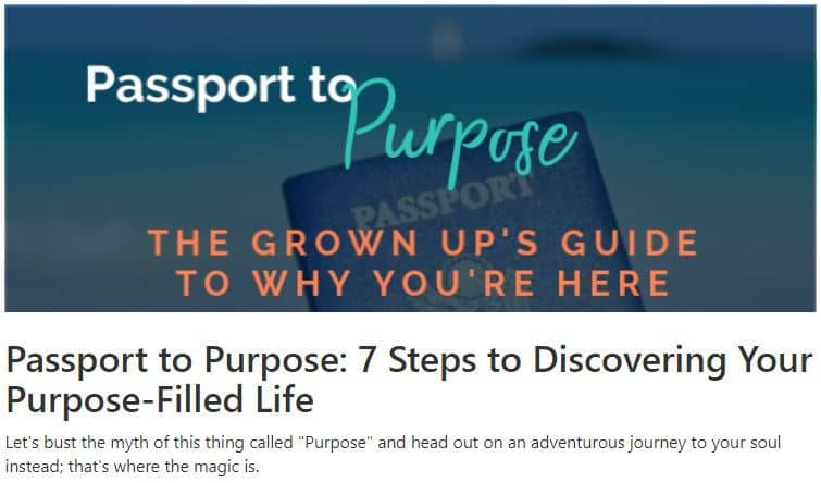 Passport to purpose product image