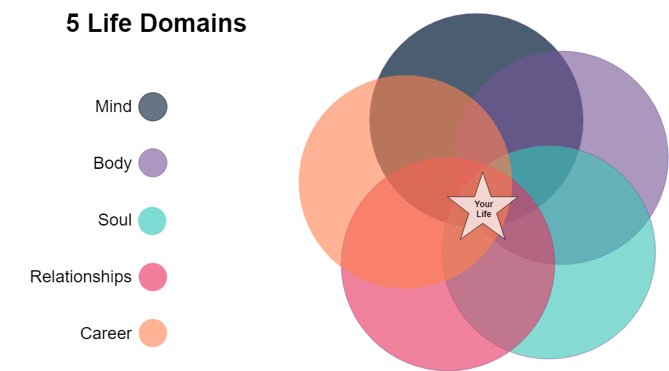 Life Compass Diagram